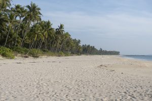 Myanmar&#8217;s Conflict Takes Its Toll on Popular Coastal Resort Town