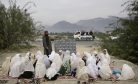 A Not-So-Bright Nowruz for Afghanistan’s Girls