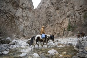 A Guardian of Health in the Mountains of Kyrgyzstan A Guardian of Health in the Mountains of Kyrgyzstan