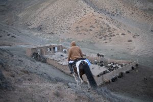 A Guardian of Health in the Mountains of Kyrgyzstan A Guardian of Health in the Mountains of Kyrgyzstan