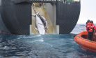 For Japan, Whaling Is Intertwined With Maritime Sovereignty